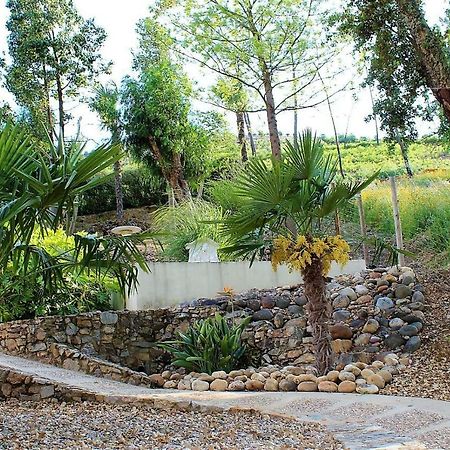 Oak Cottage Ferreira do Zêzere 外观 照片